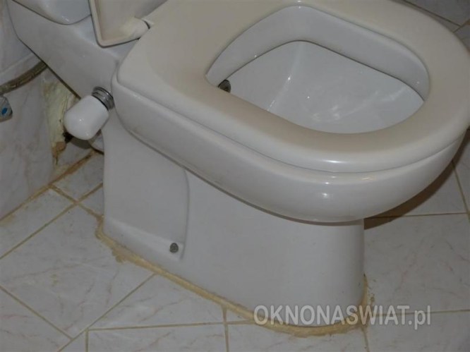 egipt blue reef reso5